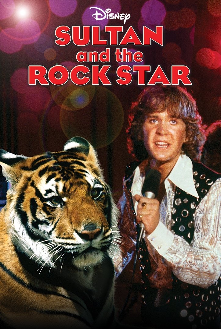 Постер Sultan and the Rock Star